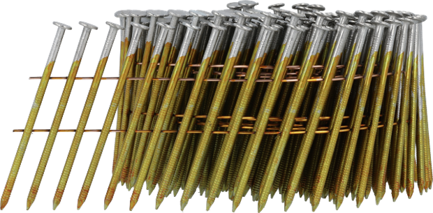 BLxxASBF-CN-FRONT.psd